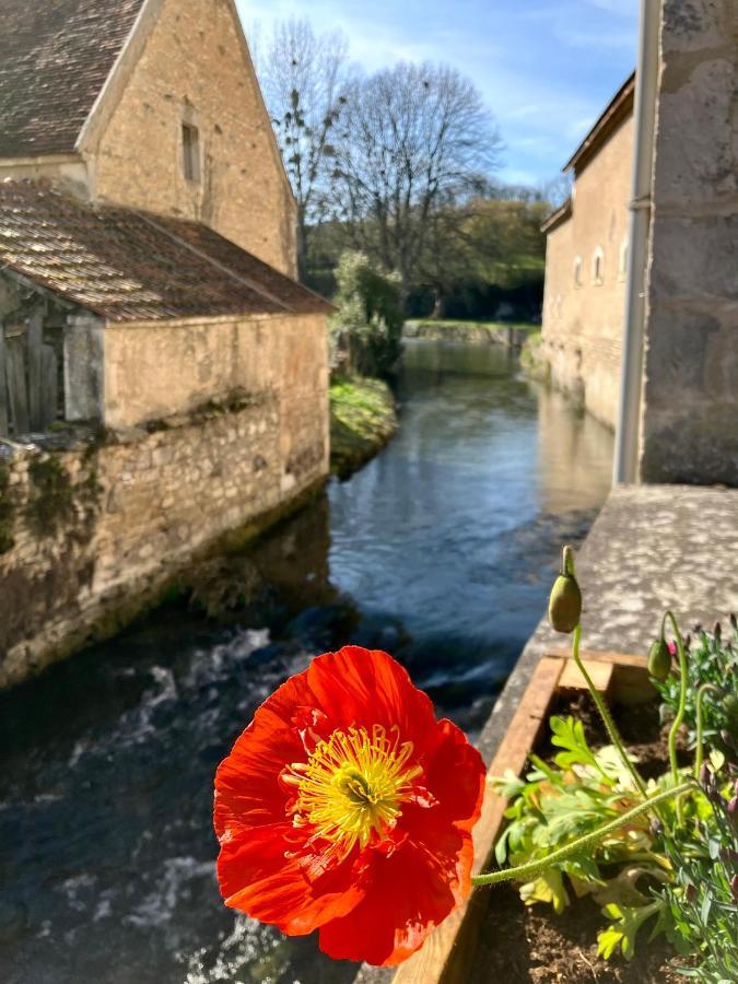 Bed and Breakfast La Treille Muscate Tannay  Exteriér fotografie